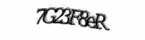 Security check image, please type the characters shown